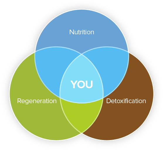 Nutrition Regeneration Detoxification