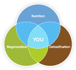Nutrition, Regeneration, Detoxification and You
